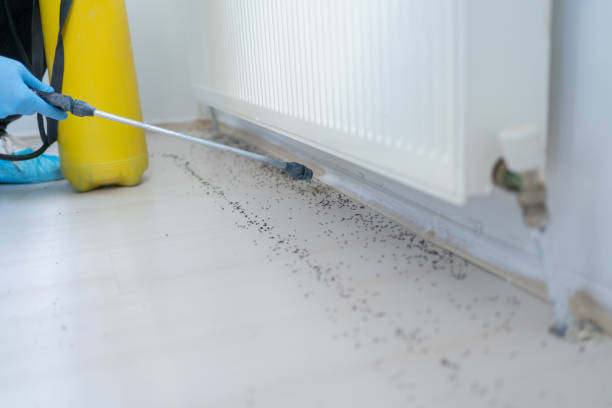 Best Wildlife Control Services  in Crescent City, CA